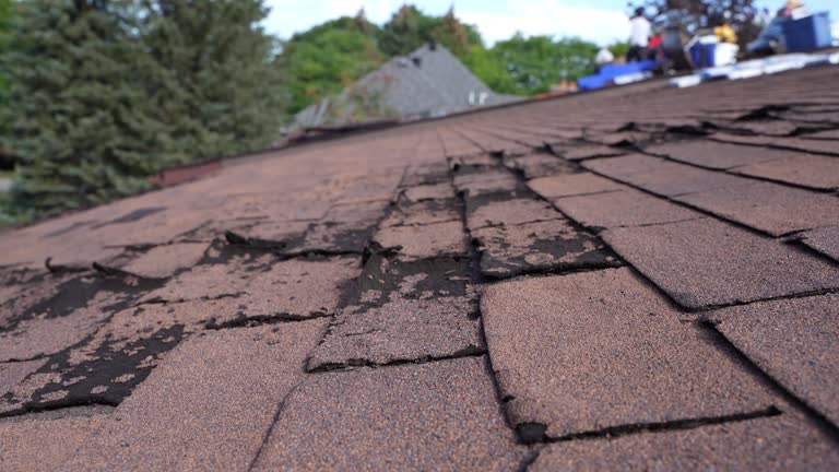 Best Storm Damage Roof Repair  in Winnie, TX