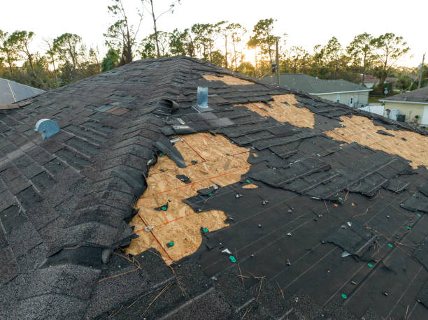 Best Rubber Roofing (EPDM, TPO)  in Winnie, TX